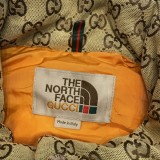 The North Face x Gucci down vest brown