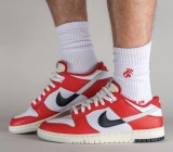 Nike Dunk Low Chicago Split