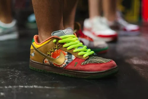 Nike SB Dunk Low What the Dunk