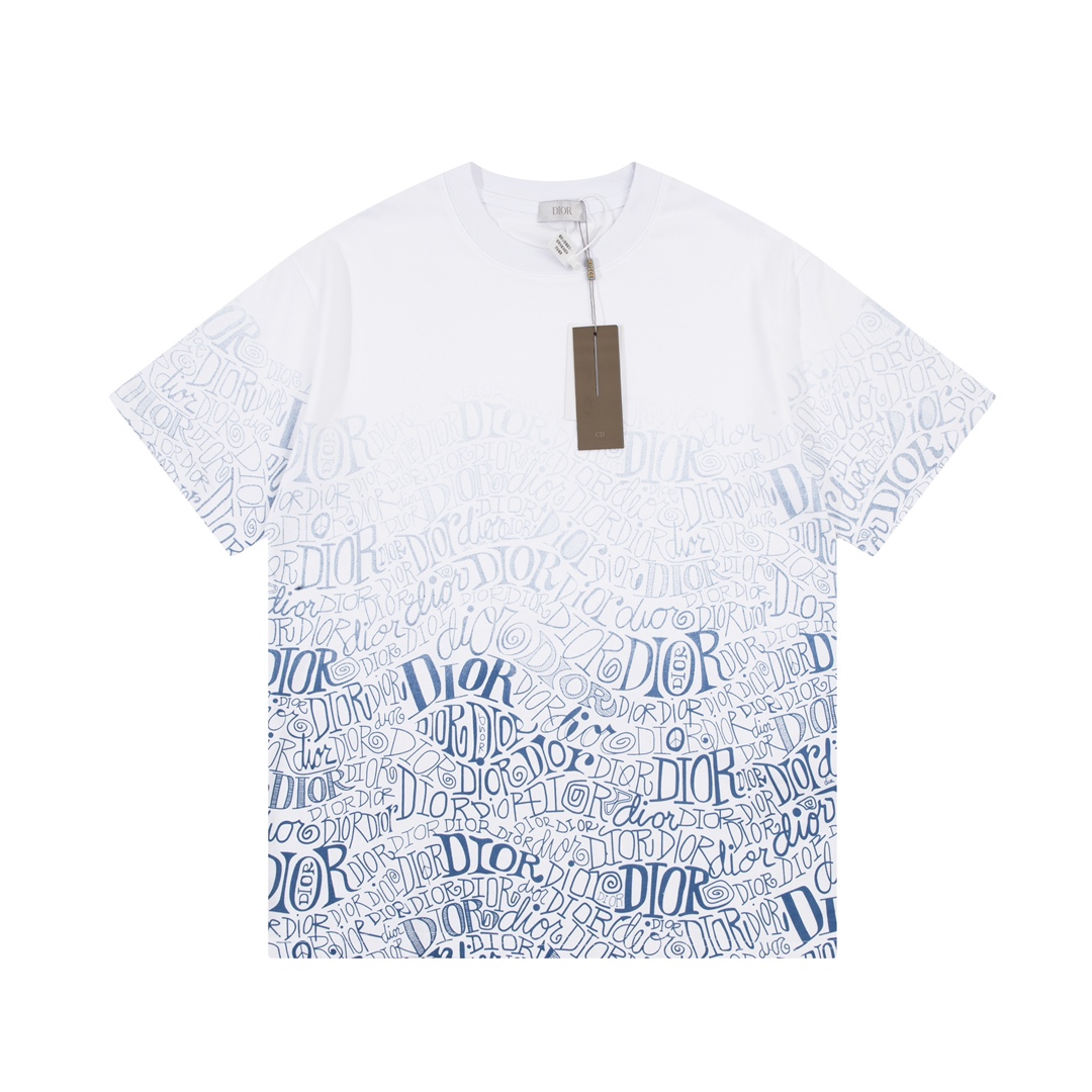 Dior Light Blue Gradient Reversible Logo Print Short Sleeve T-Shirt 6. ...