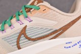 Nike Pegasus 39 Premium Nike Moving Company