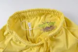 Sp5der Beluga Sweatpant Gold 12.12