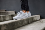 Nike Air Max 90 Recraft Wolf Grey