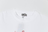 Dior 24SS Dinosaur embroidered logo short-sleeved T-shirt White 6.13