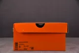 NK Dunk SB Low Retro X Louis Vuitton