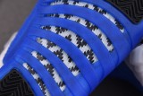 Air Jordan 12 Blueberry