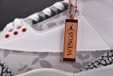 Jordan 3 Retro Wings
