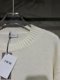 Dior Year of the Snake embroidered logo limited edition long-sleeved sweater White 01.13