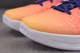 Nike Zoom Kobe 6 Protro Blue and Pink