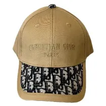 Dior classic pattern embroidered letter logo Hats Brown 250414