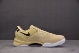 Nike Kobe 8 Protro TB Champagne Gold