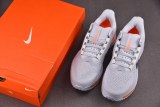 Nike Air Zoom Pegasus Premium Airscape