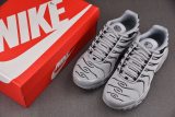 Nike Air Max Plus Gray