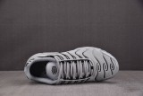 Nike Air Max Plus Gray