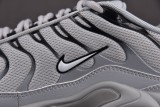 Nike Air Max Plus Gray