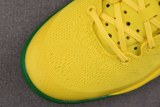Nike Kobe Oregon Ducks PE PACK Yellow/Green