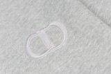 Dior Logo Embroidery Hoodie (Gray) 251119