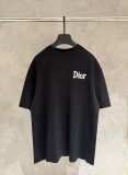 Dior New Patch Embroidered Short Sleeve T-Shirt 260526