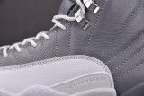 Air Jordan 12 Retro Stealt