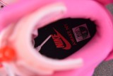 Air Jordan 6 Retro Awake NY Playful Pink