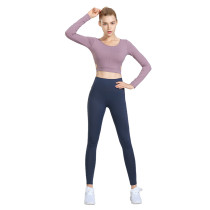 Purple 2pcs Yoga Set Long Sleeve Crop Top with Gray Blue Pant TQE00096-8-4