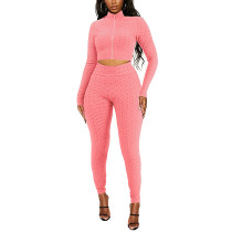 Pink Long Sleeve Zipper Jacket with Pants Set TQK710376-10