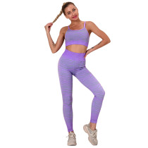 Purple Striped Print Yoga Bra with Pant Sports Set TQE91568-8