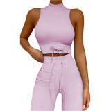 Light Purple High Collar Double Straps Yoga Bra Pant Set TQK710428-38