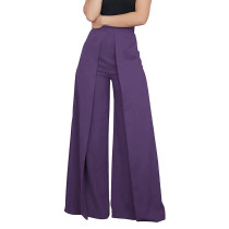 Purple Back Zipper Casual Wide Leg Pants TQK530070-8