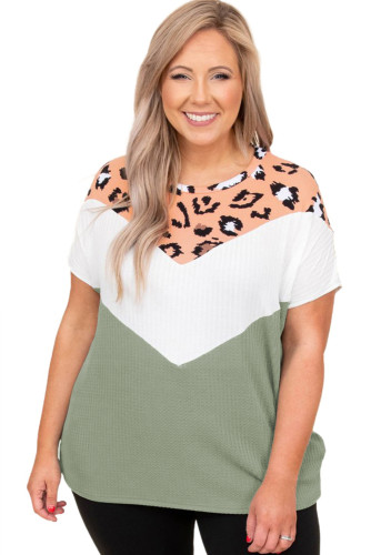 Green Leopard Color Block Waffle Knit Plus Size T-shirt LC25113438-9