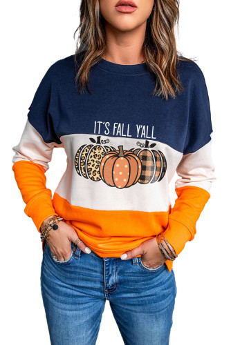 Blue Cute Pumkin Print Fall Vibe Color Block Sweatshirt LC25312232-5
