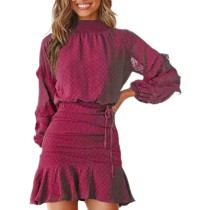 Burgundy Long Sleeve Blouse and A-line Pleated Skirt Set TQF711038-103