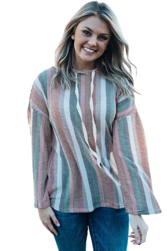 Multicolor Striped Drop Shoulder Textured Knit Hoodie LC25116549-22