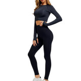 Black Knitted Seamless Long Sleeve and Pant Yoga Set TQX711090-2