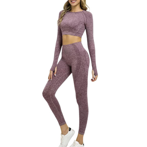 Light Purple Knitted Seamless Long Sleeve and Pant Yoga Set TQX711090-38