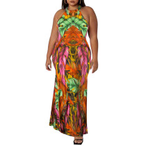 Multicolor Printed Sleeveless Plus Size Maxi Dress TQK311425-29