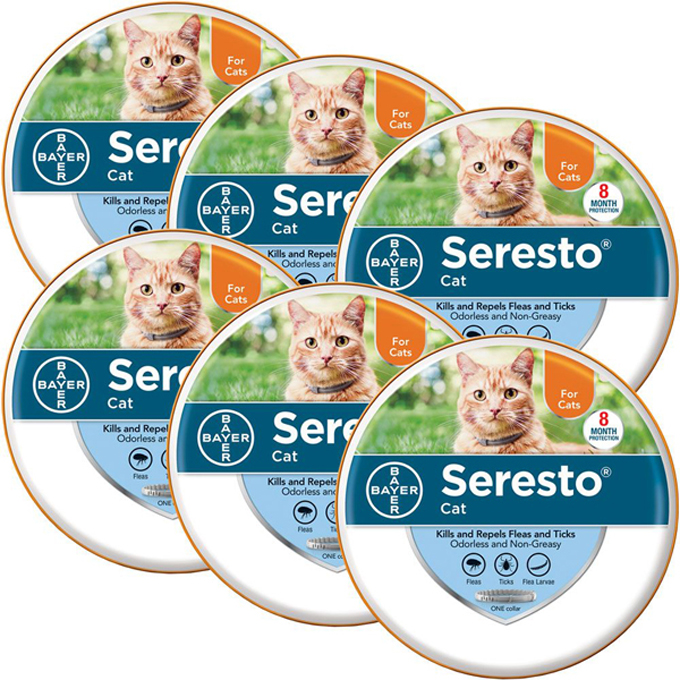 bayer seresto cat