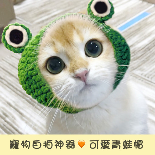 【Kectios™ 】網紅寵物貓咪兔耳朵獅子頭套兔子貓貓帽子可愛生日聖誕節頭飾裝扮