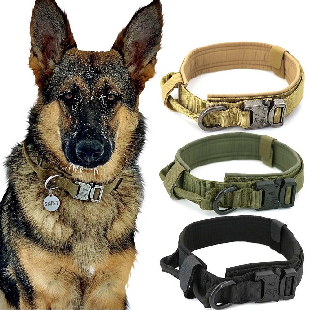 dog collars and leashes for large dogs
