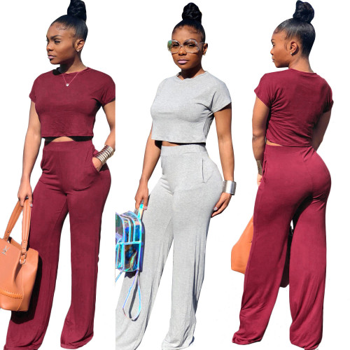 Leisure Suits Short Sleeves Top Wide Leg Pants FZ5534