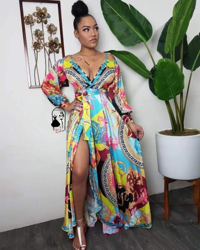 Women's Sexy Print Dress OMF5289