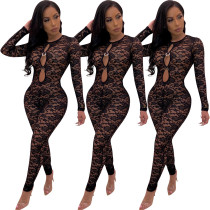 Transparent Black Lace Sexy Club Wear Bodycon Jumpsuits ED8078