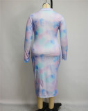 Plus size Womens dress, color gradient, pleated long sleeve dress J6017