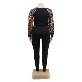 Pants suit + round neck leopard pattern stitching top women's spot YFS1254