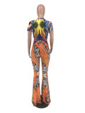 Two-piece abstract animal print flared pants LY5865