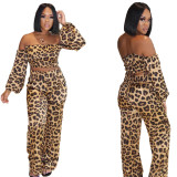 Sexy leopard print suit BN108