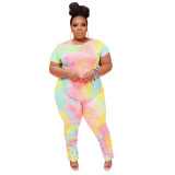 plus size Womens casual solid color round neck T-shirt trousers suit ONY5052