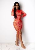 Style sexy print boutique slim long sleeve dress YS426