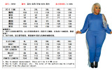 Fat woman plus size Womens net yarn flocking striped tight two-piece suit OSS20982