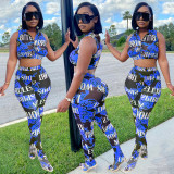 Sexy see-through printed net yarn short top trousers two-piece Womens suit CYF3802